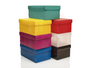 Caixa Organizadora Mini / Sapato – Cores Sortidas